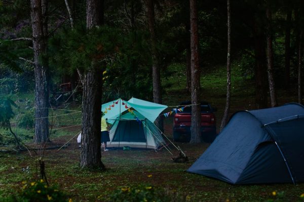 Tempat Camping Aesthetic Di Jawa Timur
