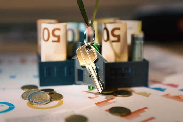 cara memulai bisnis investasi properti untuk pemula